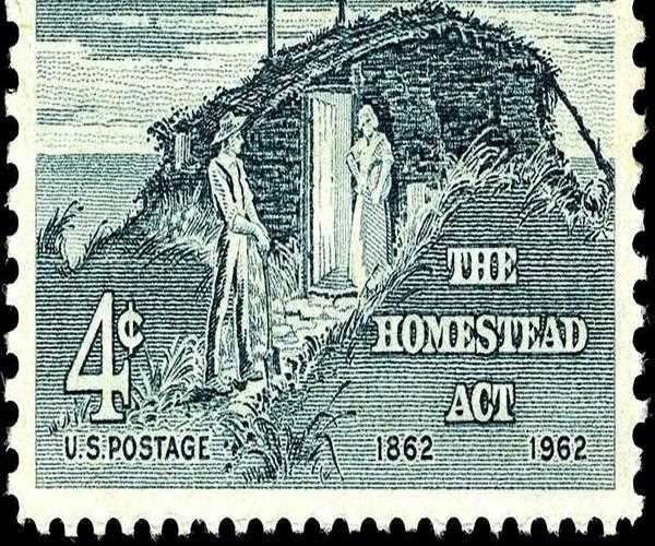 What is one effect of the homestead act?