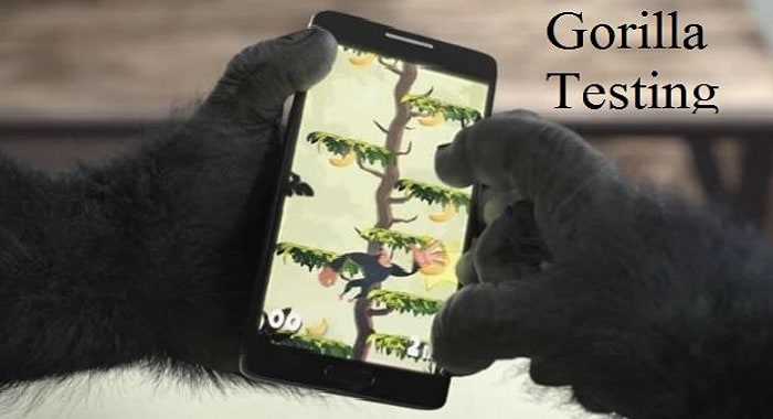 What is Gorilla Testing?