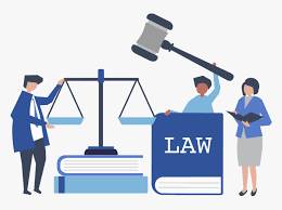 What are the basic principles of the rule of law?