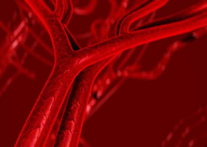 Which virus causes bleeding in the body due to the destruction of blood vessels?