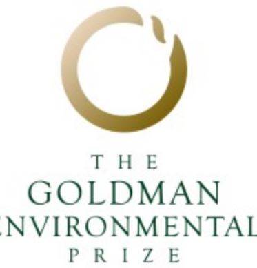 Who has been awarded the 2019 Goldman Environmental Prize?