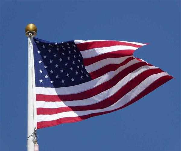 How many stars are on the United States flag? 