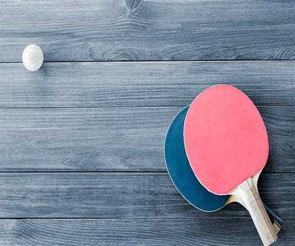 Who are the greatest table tennis players?