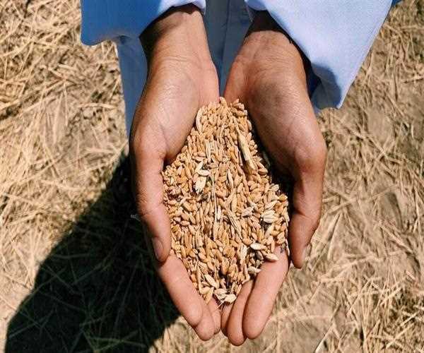 India signed an agreement with the UN World Food Program for the distribution of wheat to which country?