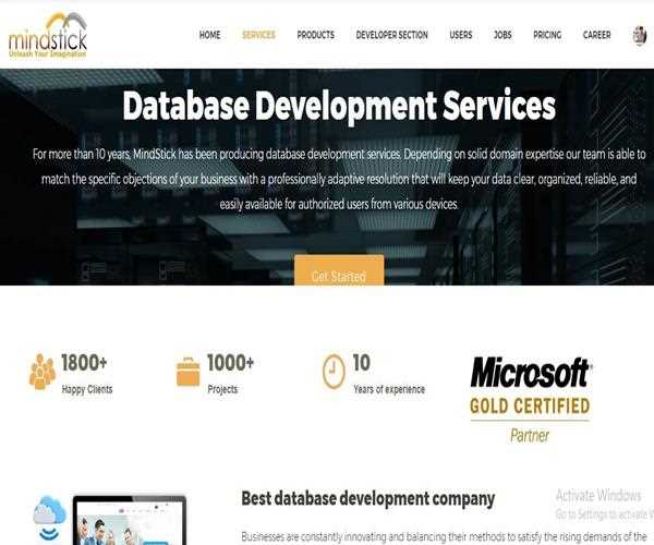 Does MindStick develops and maintain Database Development services?