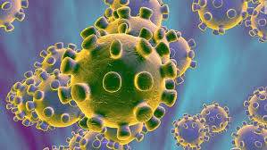 What is Corona Virus ?
