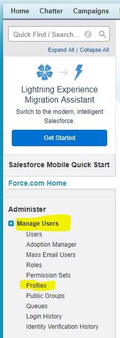 How do I enable API access in Salesforce?