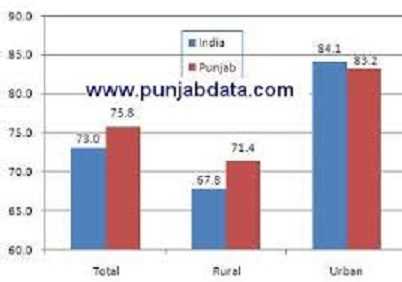 What is the female literacy rate in Punjab?