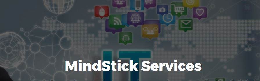 Where can we share our opinions about MindStick?