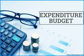 What is expenditure budget?