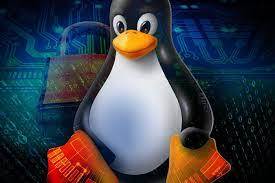 How to terminate a running process in Linux?