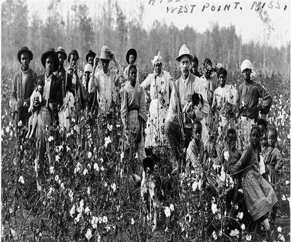 How did sharecropping help landowners, freed slaves, and poor white farmers?