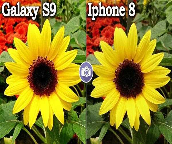 Which phones are better: iPhone or Samsung Galaxy?