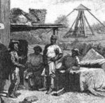 How was America`s role in the world economy affected by the cotton gin ?