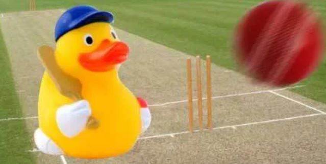  Who has the highest number of ducks in test match ?