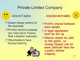 what is private company advantages and disadvantages