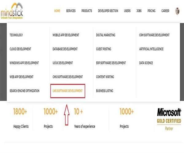 Does MindStick Provide LMS services?