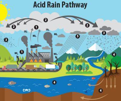 What is the mean of Acid Rain ?