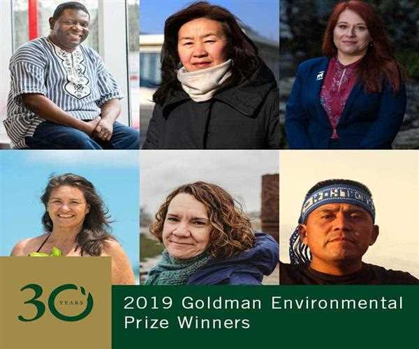  Who has been awarded the 2019 Goldman Environmental Prize?