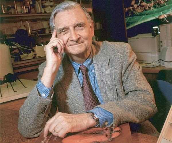 Who was Edward O Wilson, who has been in news recently?