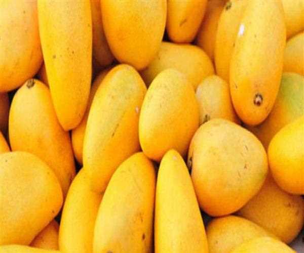 Which chemical is commonly used for ripening of mangoes in India?