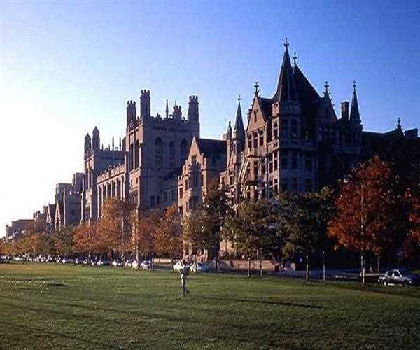 What are some helpful tips for students starting their first year at University of Chicago?