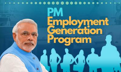 Which institution is implementing the Prime Minister’s Employment Generation Program (PMEGP)?