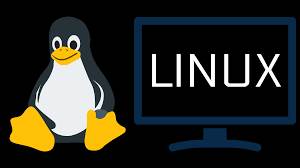Which are the Linux Directory Commands?