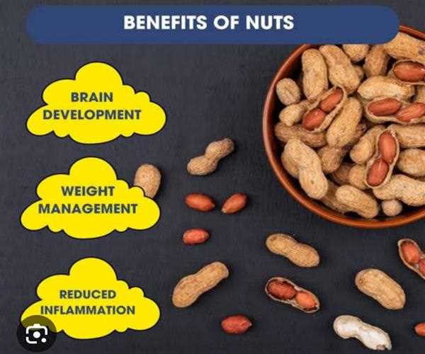 What are the benefits of including nuts in the diet?