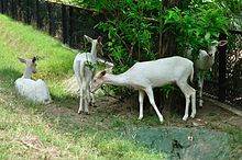 Alipore Zoological Garden, which was making news, is located in which Indian state/UT?