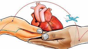 what do you know about heart transplantation and other body parts transplantation?