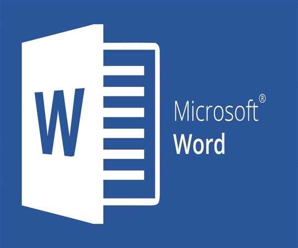 What are the component of ms-word?