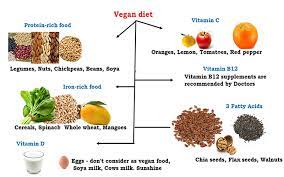 Why the Veg diet is always best for humans
