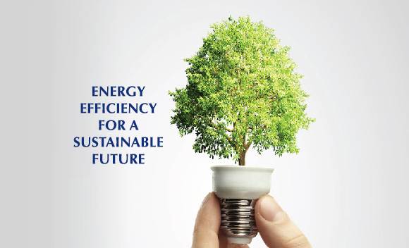 “Energy Conservation Week” is observed every year in which month?
