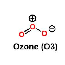 What is the Ozone layer and where is it located?