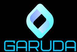 Which type of data is processed through the “Garuda Blockchain Platform” that was developed by ITI Ltd. & Thalamus Irvine?