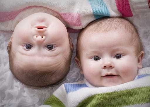 Why do identical twins have different fingerprints?