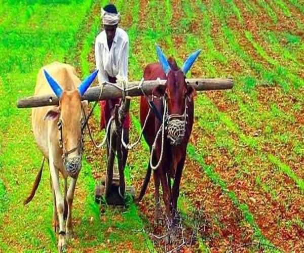 India has signed how much amount of loan agreement with World Bank for the Tamil Nadu Irrigated Agriculture Modernization Project ?