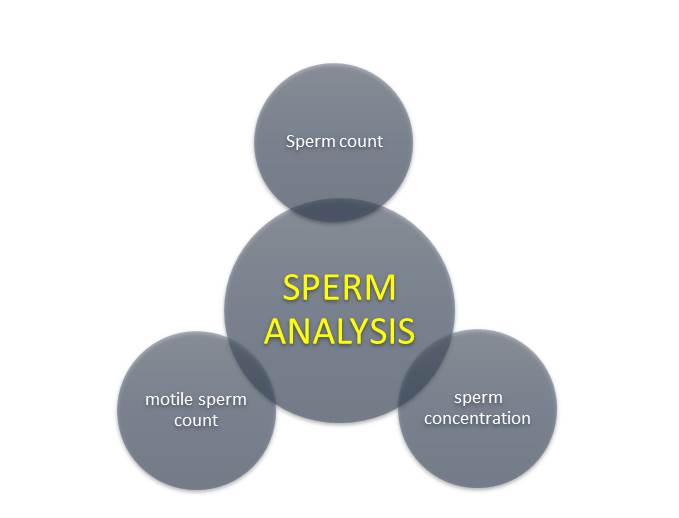 Why male fertility rate decreased in recent years?