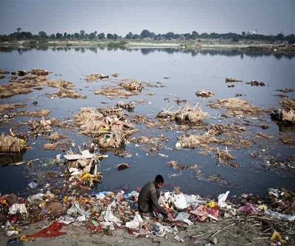 What are the major causes of pollution in Yamuna River?
