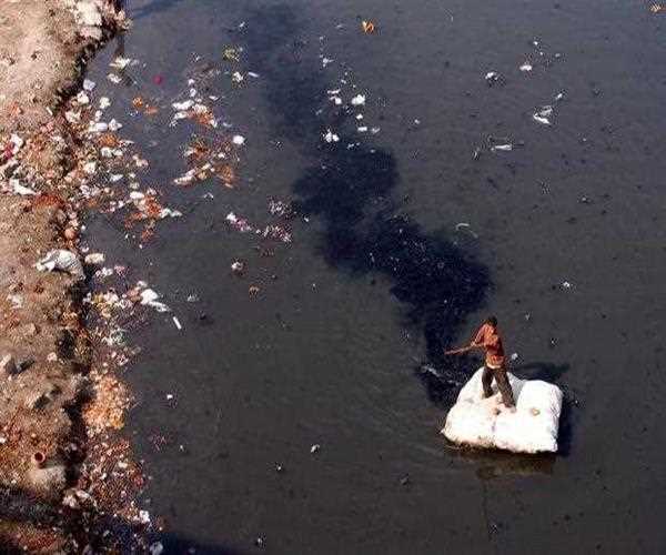 What are the major causes of pollution in Yamuna River?