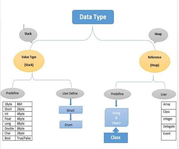 What is Data Type in C# ?