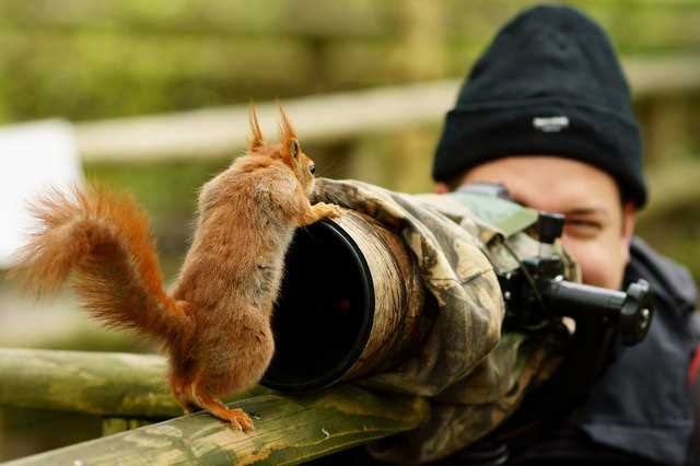 What is the salary of wildlife photographer in India?