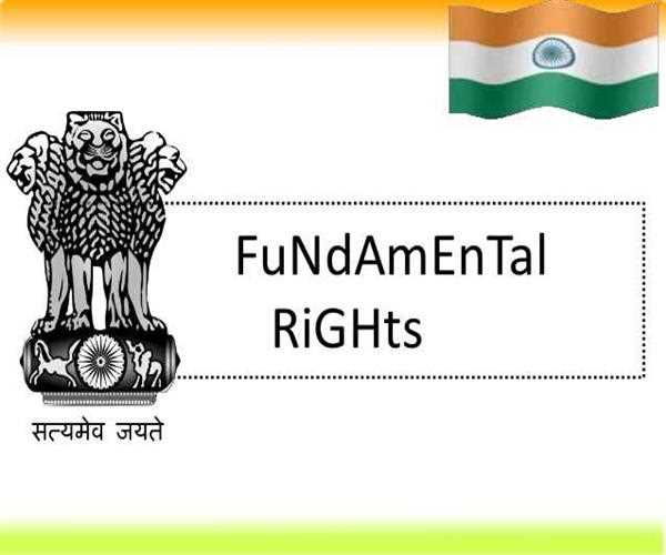 The idea of Fundamental Rights in Indian Constitution was adopted from which country?