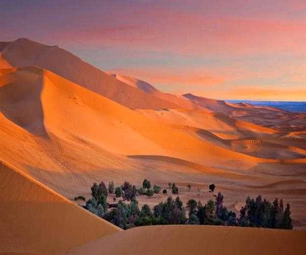 Sahara desert is in which Continent?
