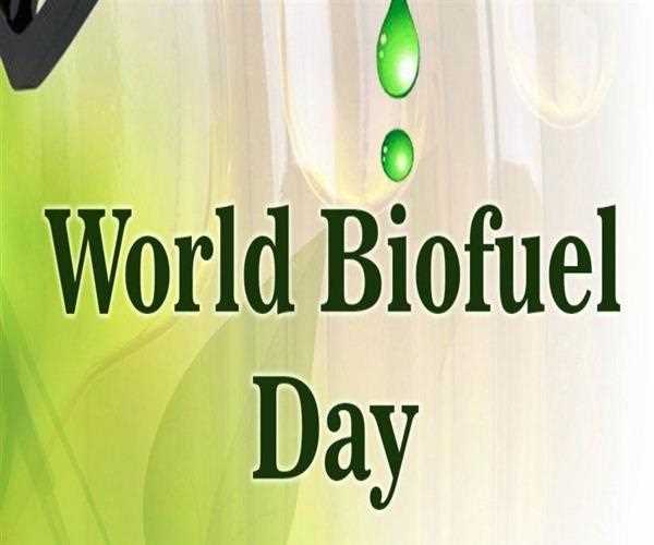 Which date in August is celebrated as World Biofuel Day?