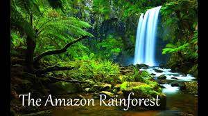 How large is the Amazon Rainforest?