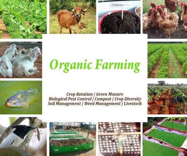 what is Organic farming?