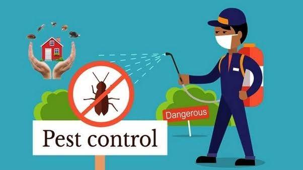 What is a Pest Control Services