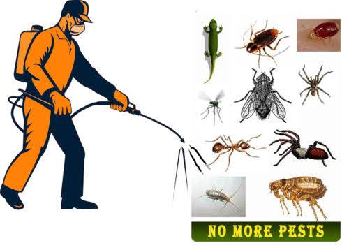 What is a Pest Control Services